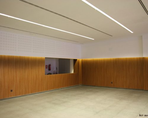 CENTRO DE USOS MÚLTIPLES DE FRIGILIANA (12)