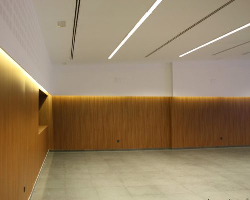 CENTRO DE USOS MÚLTIPLES DE FRIGILIANA (14)
