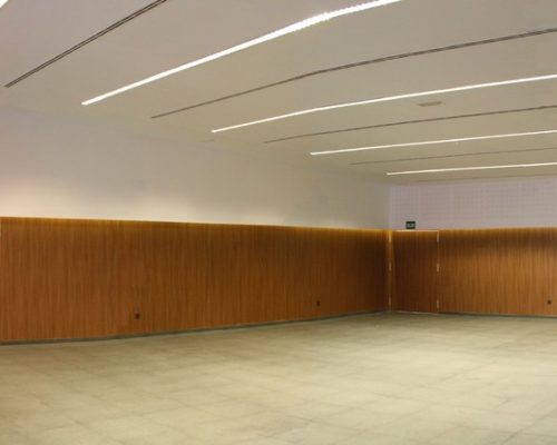 CENTRO DE USOS MÚLTIPLES DE FRIGILIANA (7)