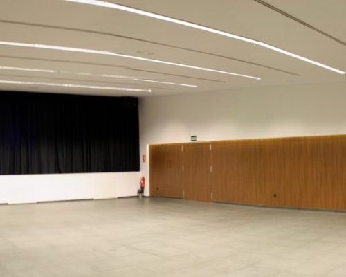 CENTRO DE USOS MÚLTIPLES DE FRIGILIANA (9)