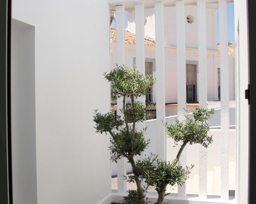 CENTRO INFANTIL DE ATENCIÓN TEMPRANA TALLER DE LA AMISTAD DE NERJA (9)