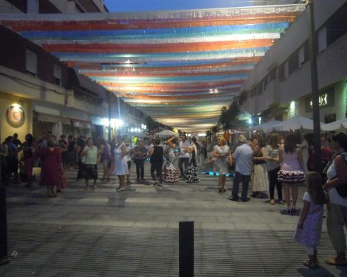 REURBANIZACIÓN DE LA CALLE ANTONIO MILLÓN FASE 1 (13)