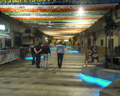 REURBANIZACIÓN DE LA CALLE ANTONIO MILLÓN FASE 1 (14)