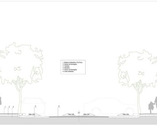 REURBANIZACIÓN DE LA CALLE ANTONIO MILLÓN FASE 1 (24)